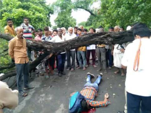 रास्ते में गिरे पेड़ से टकराई बाइक,छात्र की हुई मौत।